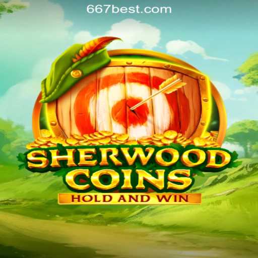Exploring SherwoodCoins and Its Place in the Online Casino World